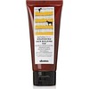 Davines Natural Tech maitininantis Hair Building Pak, 60 ml