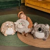 Žaislas - Cozy Noxxiez Koala Pliušinis Žaislas Minkštas Paguodžiantis Pilkas