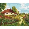 Ideyka Tapyba pagal skaičius. Ukrainos keliai 40x50