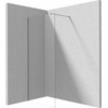 Walk-in dušo sienelė Deante Prizma, Brushed steel, 120x195 cm