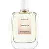 Roos &amp; Roos A Capella EDP parfumuotas vanduo moterims, 100 ml