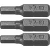Dedra Atsuktuvo antgaliai Hex H4x25mm 3vnt blisteris