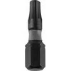 Dedra Atsuktuvu smuginiai antgaliai Torx T40x25mm 2vnt