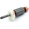 Dedra Wirnik