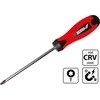 Dedra Atsuktuvas Torx T20x100mm CrV