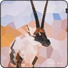 Dėklas SmallRig Camera Wrap Wild China Film Series Tibetan Antelope Pattern (6041)