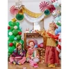 Party Deco PartyDeco dekoratyvinių rozečių mišinys 26-43 cm A3 09981