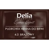 Delia Eyebrow Expert pudrinis antakių dažiklis 3.1 Juodas ruda, 4 g