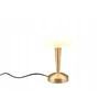Stalinė lempa DELIGHT Trio RL Canaria R59561108 lampa stołowa lampka 1x4,9W LED 3000K 470lm balta/auksinė
