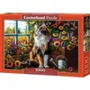 Castorland dėlionė Blooming Cat Meditation 1000 det