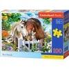 Castorland Dėlionė 100 vnt. - Geriausi draugai