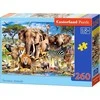 Castorland dėlionė SAVANNA ANIMALS 260 det.