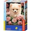 Castorland dėlionė Pomeranian Puppy in Roses 300 det.