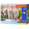 Castorland dėlionė Three Pilkas Kittens 300 det.