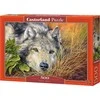 Castorland Dėlionė Pure Soul 500 Det