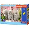Castorland dėlionė THREE Pilkas KITTENS 260 det.