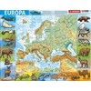 Dėlionė Demart Rėmelis - Fizinė Europa
