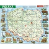 Dėlionė Demart Rėmelio galvosūkis - Fizikinė Lenkija