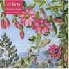 Educa Dėlionės 500 vaizdas Brisbeno Kew Marianne sode