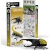 Fat Brain Toys Heraklio vabalas Eugy. Eco* 3D dėlionė