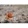 Dėlionė Fat Brain Toys Eugy – 3D galvosūkis – liūtas