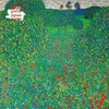Flame Tree Publishing Dėlionė 1000 aguonų laukas Gustav Klimt