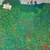Dėlionė Flame Tree Studio Adult Jigsaw Puzzle Gustav Klimt: Poppy Field