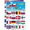 Dėlionė Pexeso MFP 3xA4 Flags