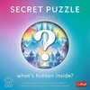 Dėlionė 1000 Premium Plus Secret Aurora - Trefl 12105