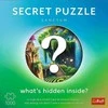 Dėlionė 1000 Premium Plus - Secret Sanctum - Trefl 12104