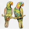 PuzzleOK Medinė dėlionė 82 vnt. - Papūgėlės