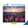Ravensburger - Dėlionė „Lupinai“ 500 p (12000688)
