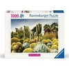 Ravensburger Dėlionė 1000 vnt. - Kaktusai