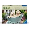 Dėlionė Ravensburger - Golden Retriever 200p Ad - (12001368)
