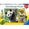 Ravensburger Dėlionė 3x49 vnt. - Laukinė gamta
