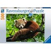 Ravensburger Dėlionė 500 vnt. - Raudonoji panda