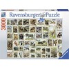 Ravensburger Dėlionė 3000 vnt. - Gyvūnų pašto ženklai