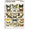 Dėlionė Teka Puzzle 1000 - Millot, drugeliai ir drugiai PIATNIK