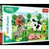 Trefl dėlionė 24 vnt. - Treflikai kaime