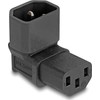 DeLock DeLOCK 80472 keitiklis / adapteris IEC 60320 C14 IEC 60320 C13 Juoda