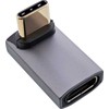 Nezatříděno USB adapteris Delock USB-C - USB-C pilkas (35900I)