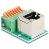 Delock RJ45 lizdas 90° kampu į gnybtų bloką su mygtuku Cat.5e