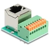 Delock RJ45 lizdas 90° kampu į gnybtų bloką su mygtuku Cat.5e