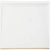Deltaco Driptray 60cm x 62cm deep Transparent