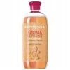 Dermacol Aroma Moment Vonios putos Gingerbread Cookies vonios putos, 500 ml