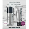 Stressed Skin Recovery System Set Dermalogica: Multivitamin Power Recovery Recovery Kreminis For Face, 50 ml + Multivitamin Power Recovery Anti-Stress Kreminis Mask For Face, 75 ml