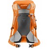 Deuter Irklavimo treniruoklis AC Lite 14 SL, persikų ir toskanos spalvos