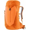 Deuter Irklavimo treniruoklis AC Lite 14 SL, persikų ir toskanos spalvos