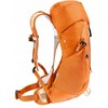 Deuter Irklavimo treniruoklis AC Lite 14 SL, persikų ir toskanos spalvos