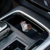 Devia automobilinis įkroviklis Extreme Metal PD 48W 2x USB 2x USB-C sidabrinis